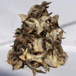 stockfish ear