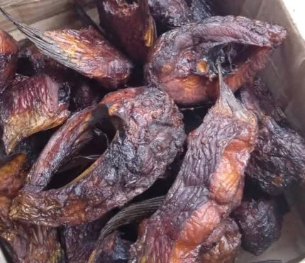 Mangala fish