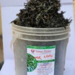 200g DRIED BITTERLEAF