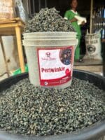 DEHYDRATED PERIWINKLE