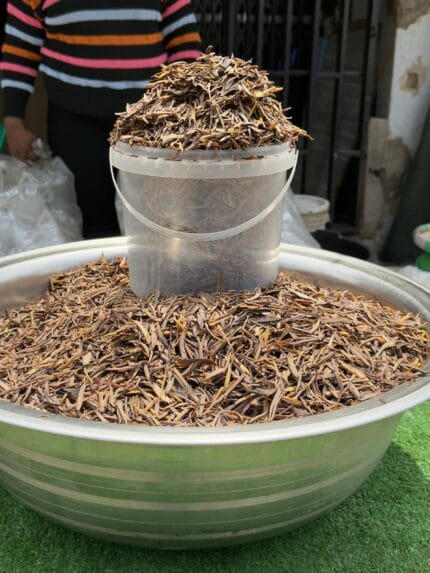 DRIED UGBA