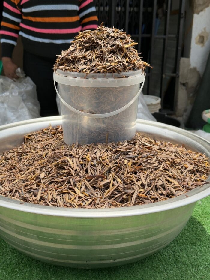 DRIED UGBA - Image 1