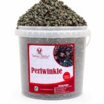2kg PERIWINKLE