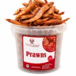 BIG SIZE COTONOU PRAWN